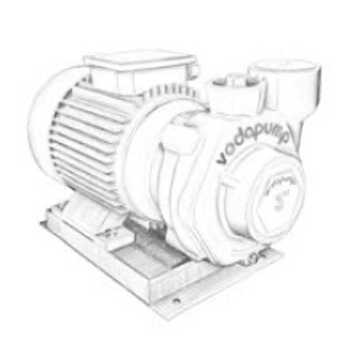 Salyangoz Su Pompaları